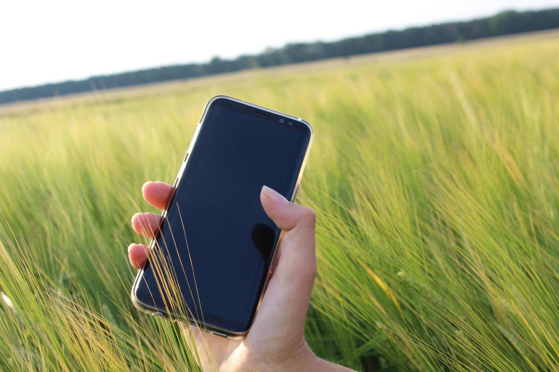Telefon w dłoni na tle zielonej trawy